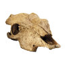 Декорация Череп быка Exo Terra Buffalo Skull (Экзо терра, Хаген)