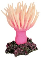 Декоративное растение для аквариума Anemone розовое, 11 см
