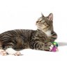 Catnip Carry Critter Mouse Игрушка для кошек 