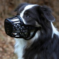 Намордник для собак пластиковый, черный