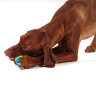 Calming Treat Capsule Игрушка для собак и щенков 