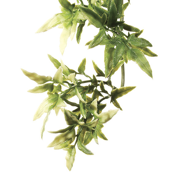 Растение для террариума Exo Terra Croton (Экзо терра, Хаген)