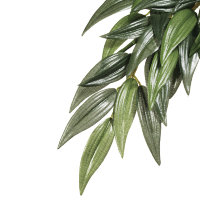 Растение шелковое для террариума Exo Terra Rucus (Silk) (Экзо терра, Хаген)