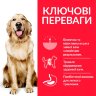 Сухий корм для дорослих собак великих та гігантських порід з куркою для підтримки здорової ваги 12 кг (Хиллс)