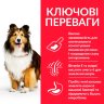 Сухий корм для дорослих собак середніх порід з куркою з чутливим травленням та шкірою (Хиллс)