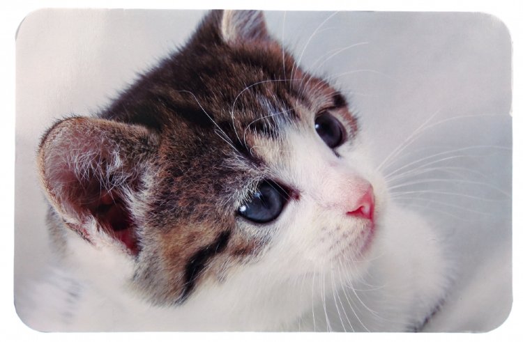 Коврик Cat Photo под миски для кошек (Трикси)