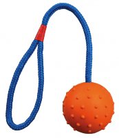 Игрушка для собак "Мяч апортировочный на канате" 6 см x 30 см (Трикси)
