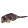 Orka Kat Catnip Infused Spool with String Игрушка для кошек и котят 