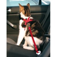 Пояс-шлея безопасности для котов в авто 20-50 см