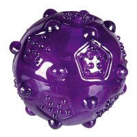 Игрушка для собак Мяч с шипами, термопластрезина (Трикси)