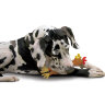 Zanny Duck/Chiken Asst Игрушка-пищалка для средних и крупных пород собак 