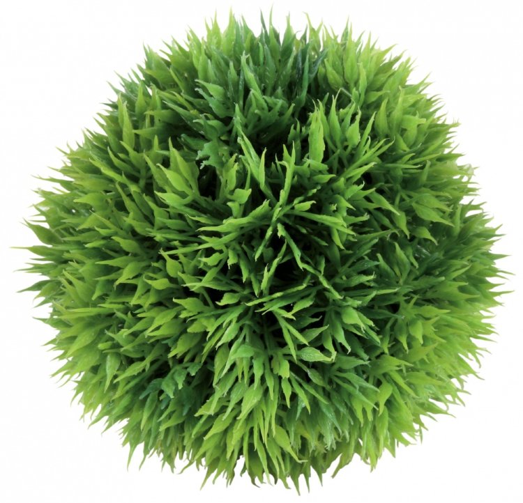 Декоративное растение для аквариума Moss круглое, 9 см