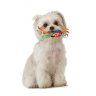 Mini Cool Chew Игрушка для собак и щенков 