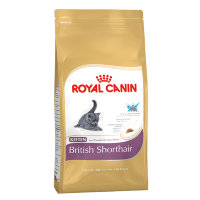 Kitten British Shorthair для котят (Роял Канин)