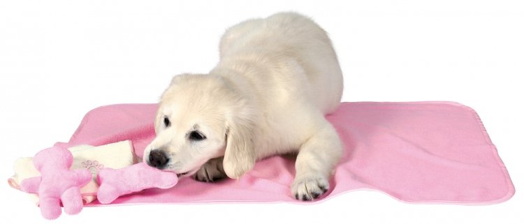 Набор для щенка коврик+полотенце+2 игрушки